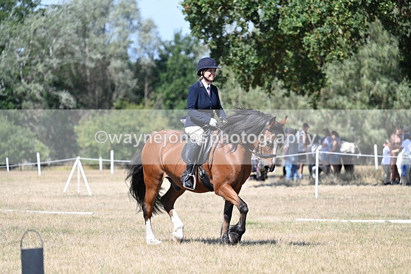 WJ7_0708 - Time 12:03 to 12:23