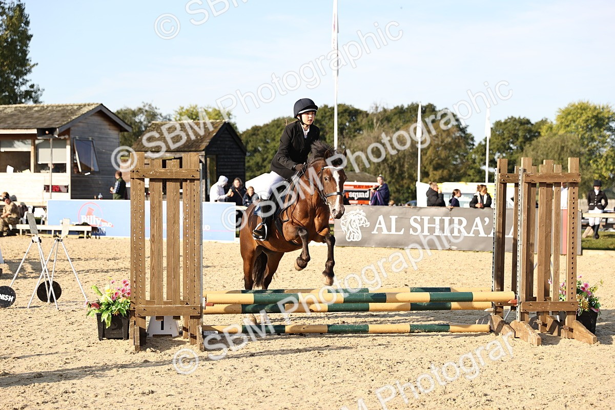 SBM_59515 - J11 - Junior Pony 50cm Championship