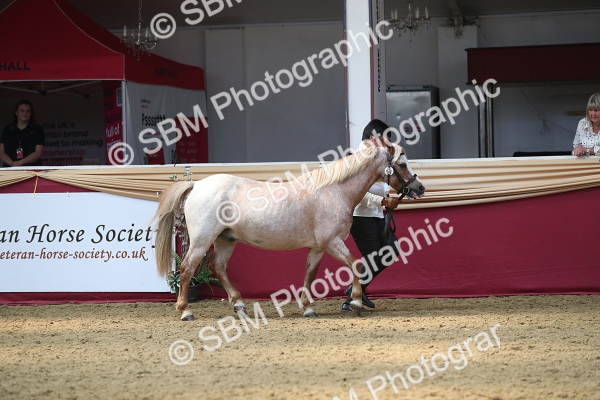 SBM_15264 - Class 501 M&M IH Supreme Final