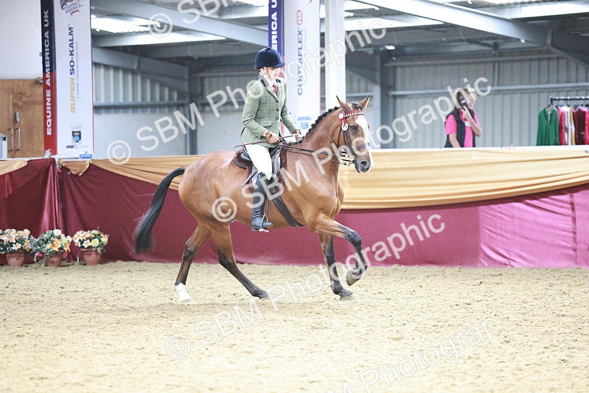 SBM_09050 - Class 12R - Regional Ridden Pre-Vet