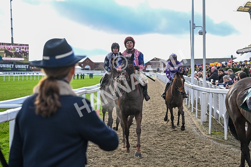 121225-Race 3-Fortune De Mer-5066 - Race 3