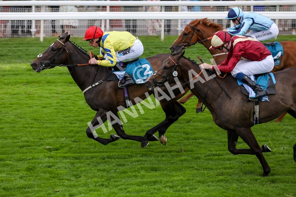 120724-Race 4-Karmology-1734 - Race 4 3.50pm Azets Handicap