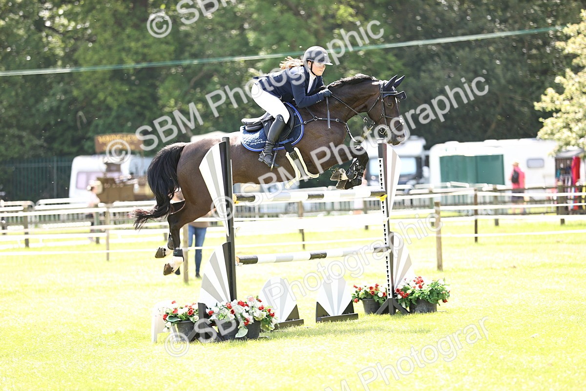 SBM_03982 - Class 201 - British Horse Feedds Speedi Beet HOYS Grade C