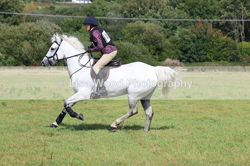 3E7A6784 - Class 2: Trekenning Open: Yellow Boat