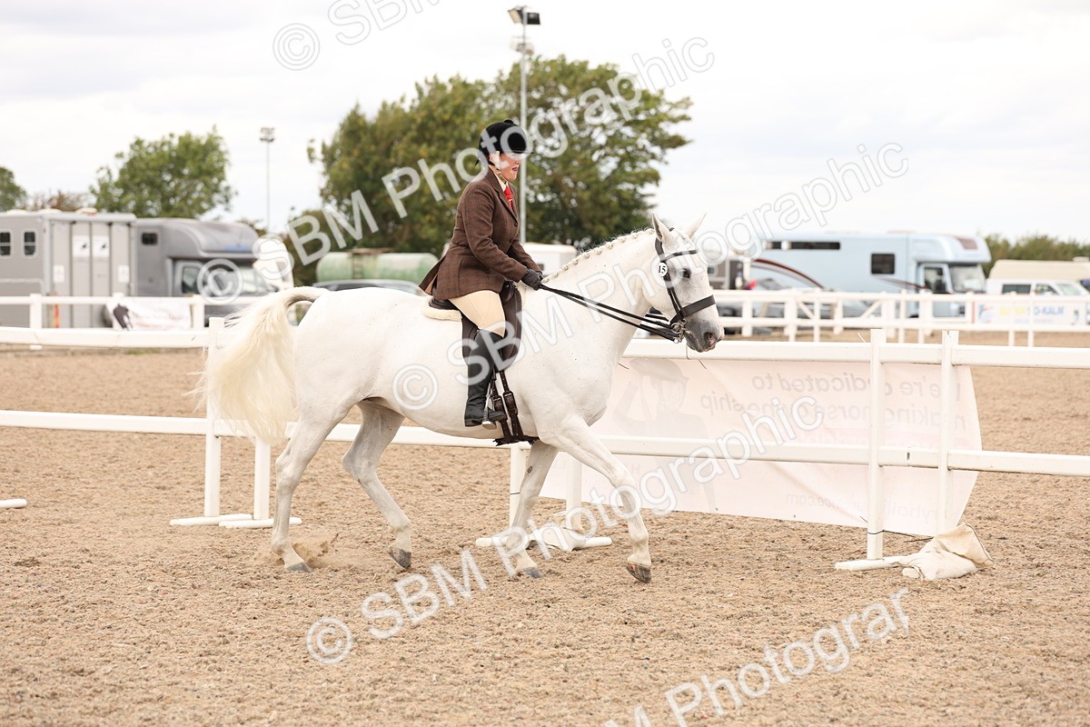 SBM_16467 - Class 212 - Ridden Hunter - Small