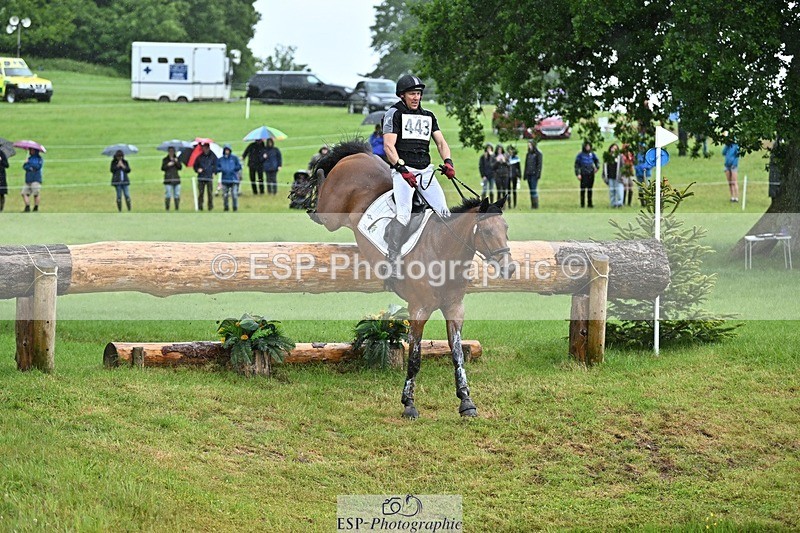 240526-134418-23046 - 443-FIGARO_DES_PREMICES-Alexander_Peternell