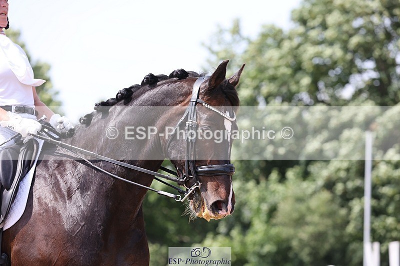 250621-153025-09918 - Cls 40 - FEI Inter I, Start to 15.50