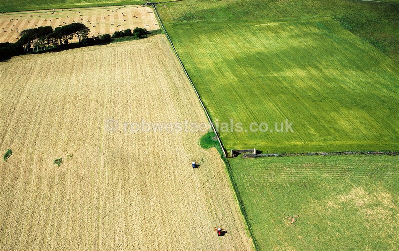 Farming in Fife at Mount Pleasant by Kilconquhar village in Scotland
