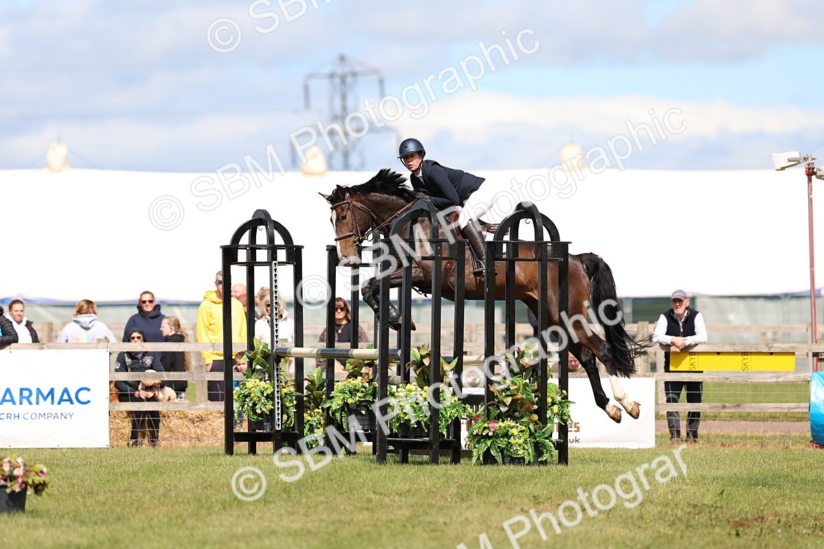 SBM_13519 - Class 206 - Senior Newcomers - 1.10m Open