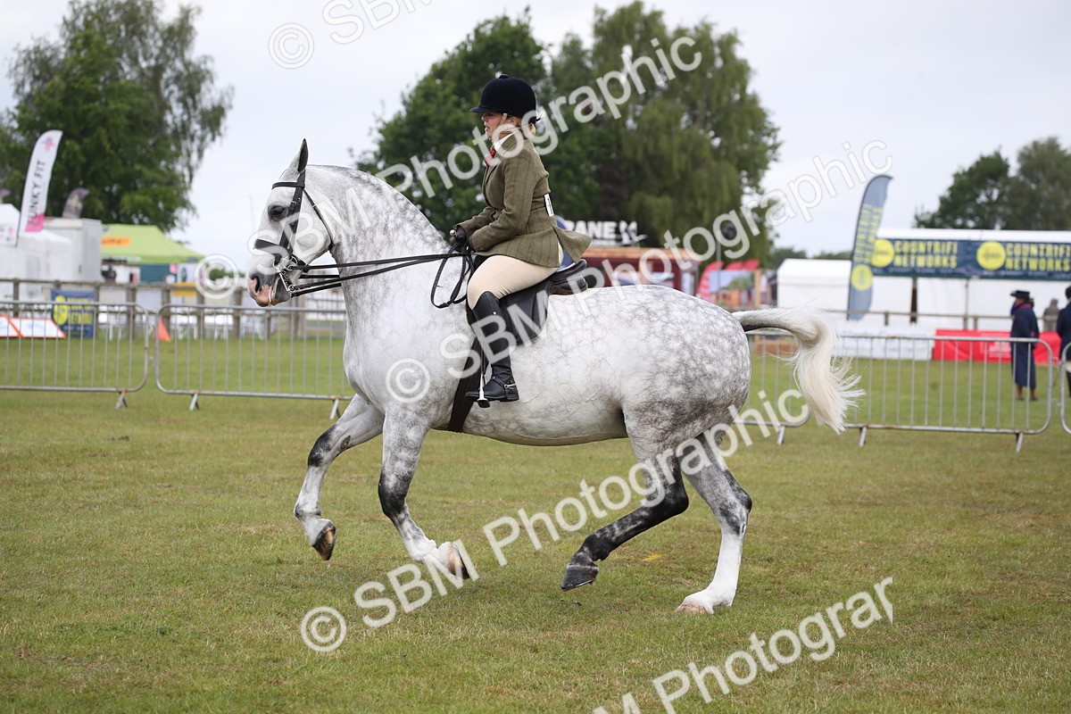 SBM_11085 - Class 92-93 - LIHS BSHA Rising Star Cobs
