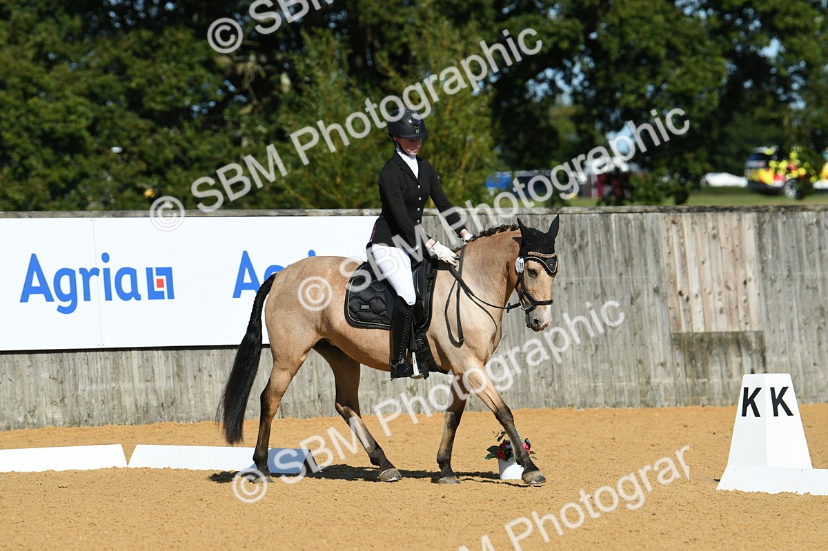 SBM_17888 - D4 - Small Tour Championship - Intro B