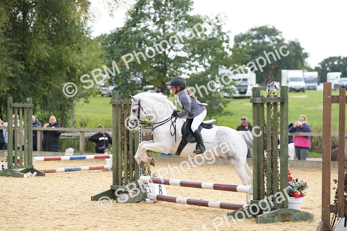 SBM_74679 - J4 - Mini Tour Junior Pony 45cm Championship