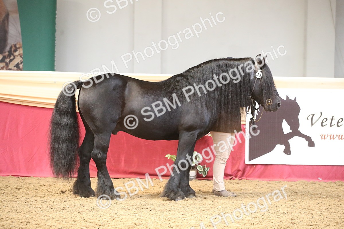 SBM_05308 - Class 8R - Regional IH Veteran