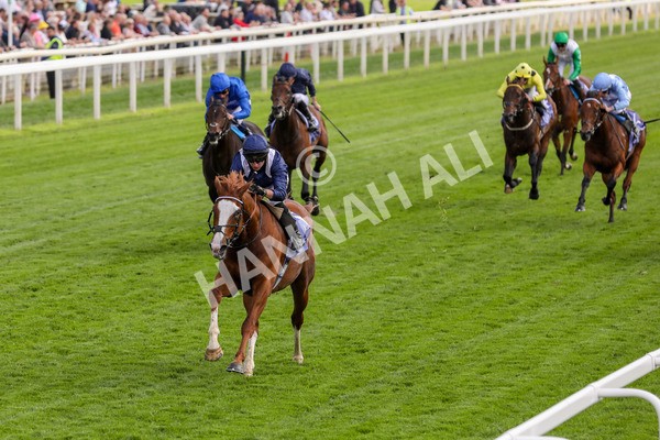 160524-Race 4-Economics-1868 - Race 4 3.45pm Al Basti Equiworld Dubai Dante Stakes