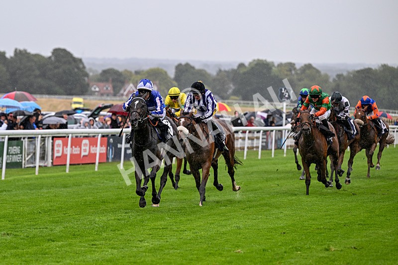 290826-Race 4-Necromancer-6934 - Race 4 3.35pm Ire-Incentive, It Pays To Buy Irish EBF Restricted Maiden Fillies' Stakes