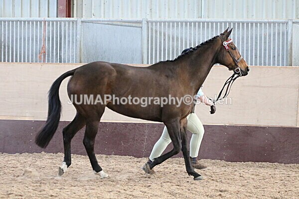 SIAL9778 - Indoor Classes