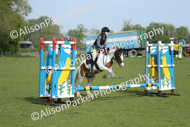 20260426-0182 - Class 13 - Rookie Jumping 50cm
