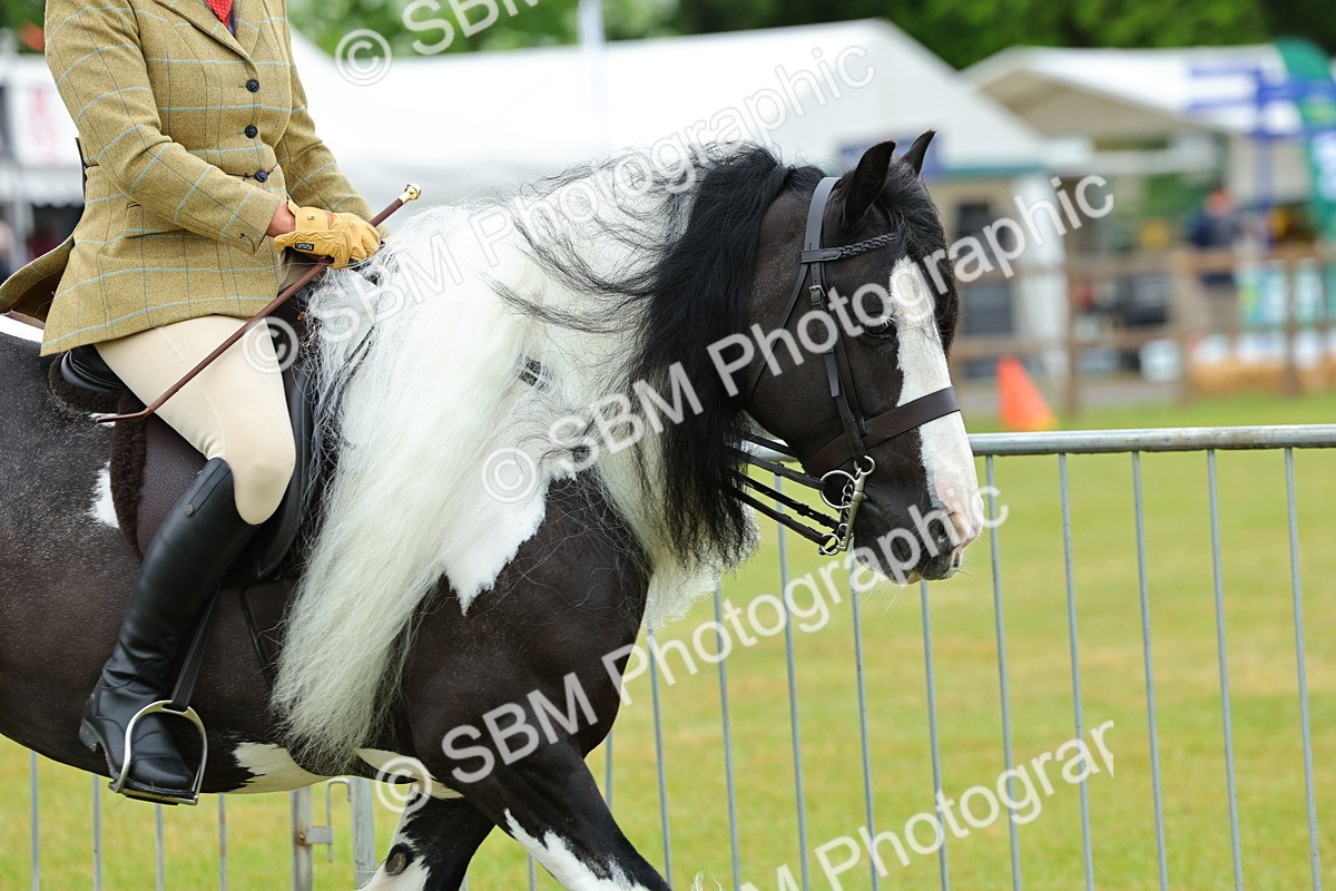 SBM_01112 - Class 1-4 - BSPA Ridden