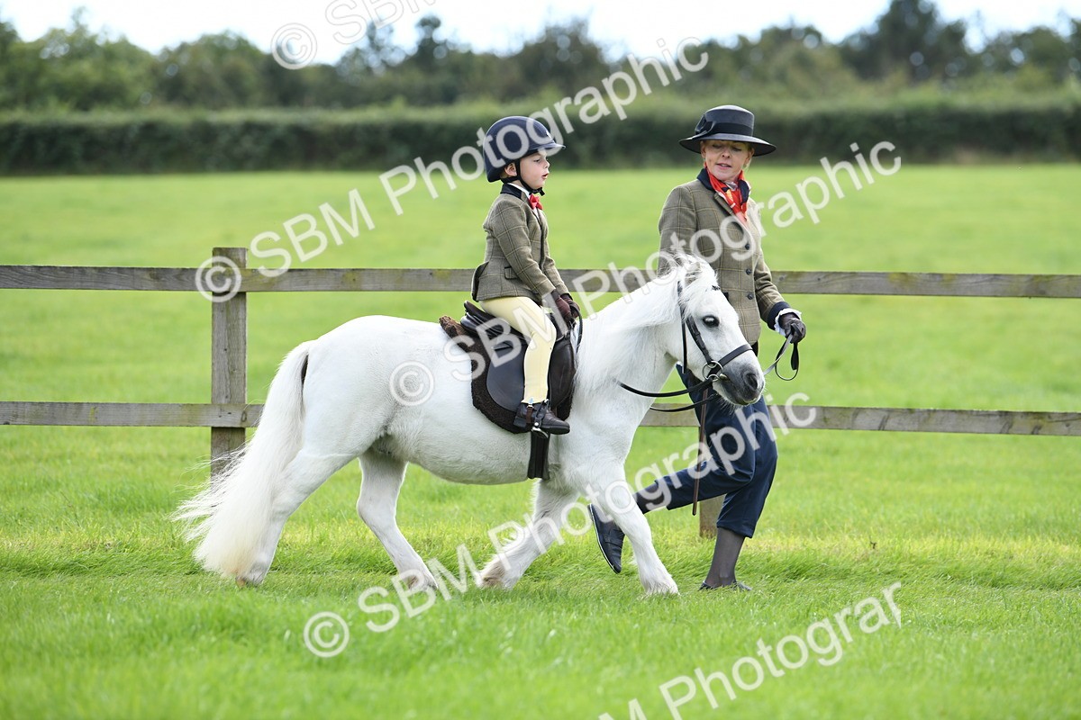 SBM_42440 - S20 - Lead Rein Mountain & Moorland Pony