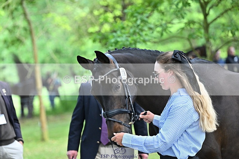 250521A-153150-00572 - B-316-Jasmine.Holmes-ARENT.I.LUCKY