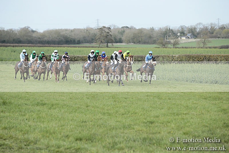 PtP 230319 399 - VWH Hunt Siddington Point-to-Point Racing 23/03/19