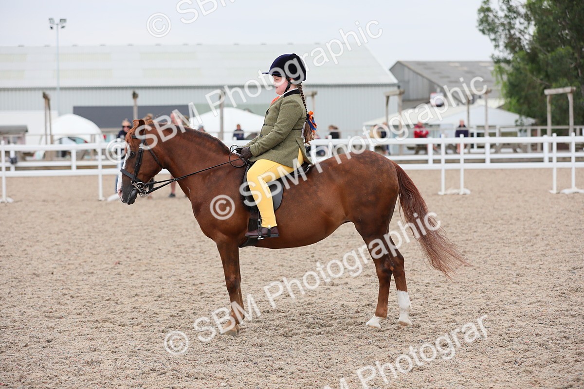 SBM_18160 - Class 316 Best Pony/Rider Combination