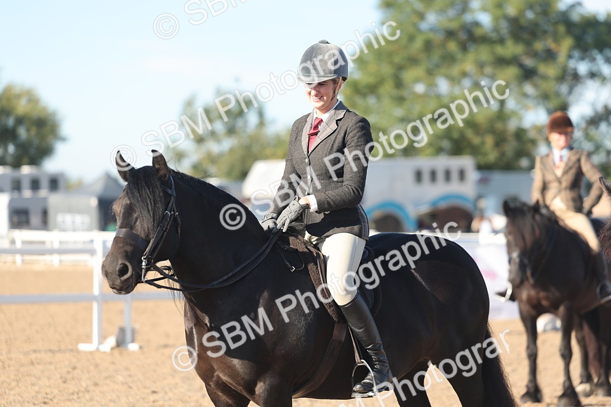 SBM_11099 - Class 302 - Ridden M&M Large Breeds