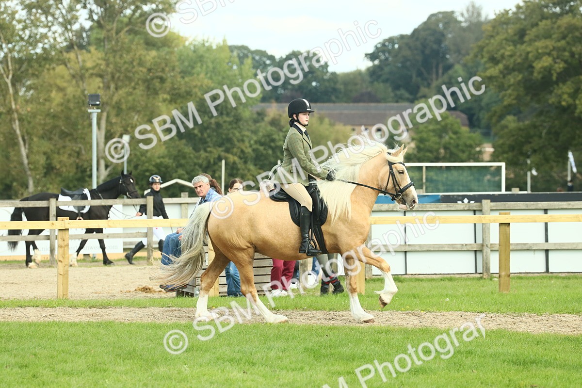 SBM_62665 - S63 - Other Coloured Horse Ridden