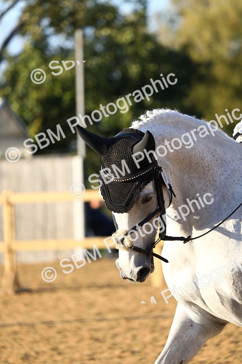 SBM_31747 - D11 - Small Tour Championship Prelim 1