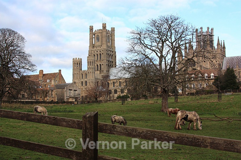 Ely Cathedral - Churches and Castles