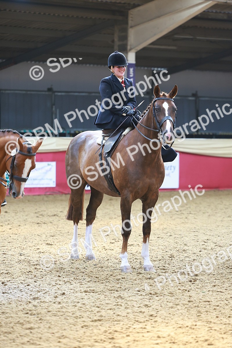 SBM_12644 - Class 103 - HOYS Veteran Qualifier - Ridden Pre Vet