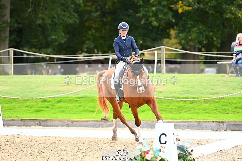 231020-145540-10038 - 311-DALOUBET.MANSOLEIN.Z-Kat.Raybould-DR