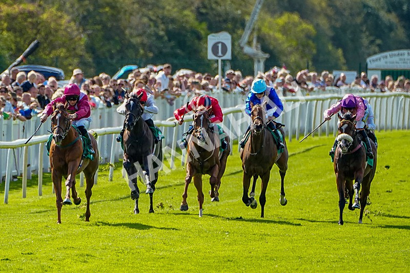 050926-Race 3-Dontlookanyfurther-1 - Race 3 2.40pm British Stallion Studs EBF Restricted Novice Stakes