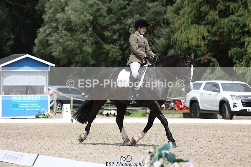 230812-134056-04288 - Cls 5 Novice Bronze 13.40 to 14.45 break