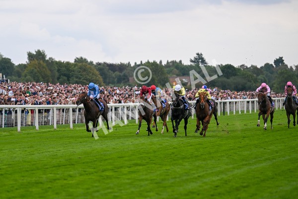 230825-Race 1-King Of Cities-9560 - Race 1 1.50pm Sky Bet Strensall Stakes