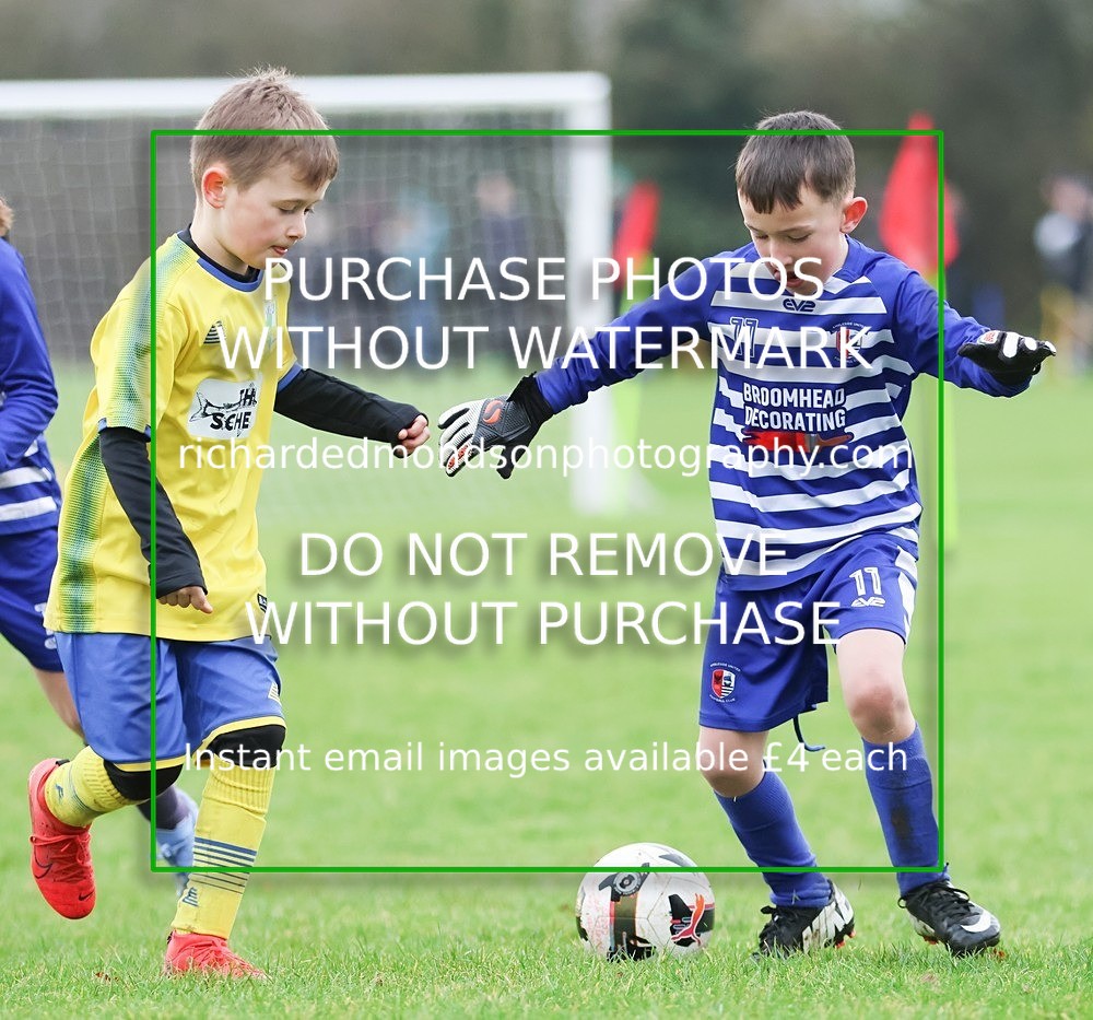 533A2260 - Ambleside U8 (17/1/26)