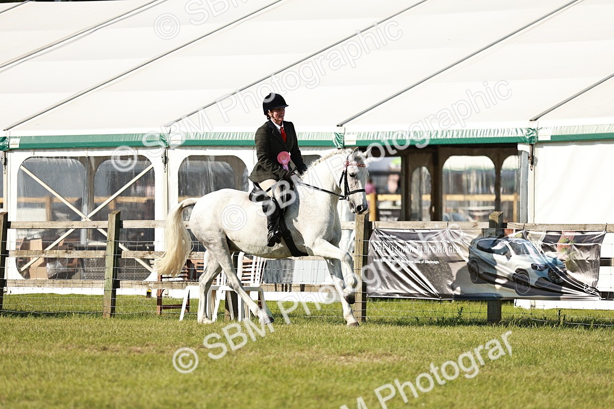 SBM_19349 - Class 115-116 - LIHS BSHA Rising Star Working Hunter & Show Horse
