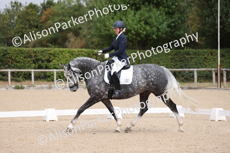 20250820-0802 - Class 15 - Novice 4