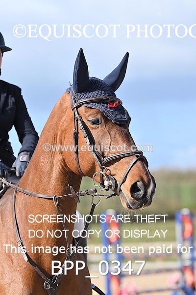 BPP_0347 - CLASS 21 SUN Senior 1.05m Open