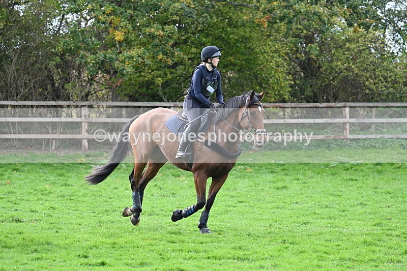 WJ7_9787 - Time 13:13 to 13:55