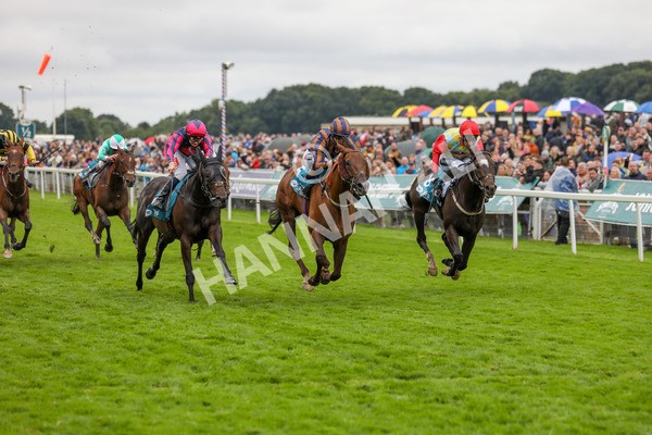 130724-Race 6-Zimmerman-2207 - Race 6 4.50pm John Smith's Stayers' Handicap