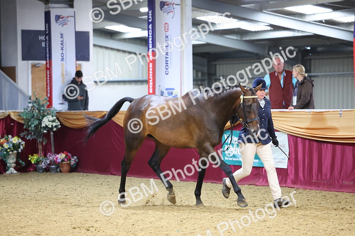 SBM_22827 - Class 903 - Supreme Final - IH Pre Vet