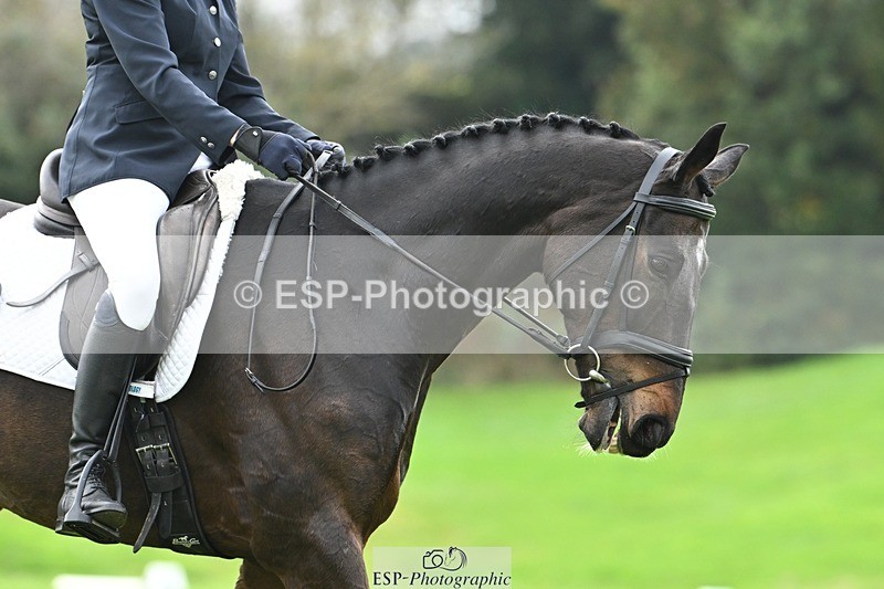 241024-142724-04508 - 416-Stella.Bunn-EVRON