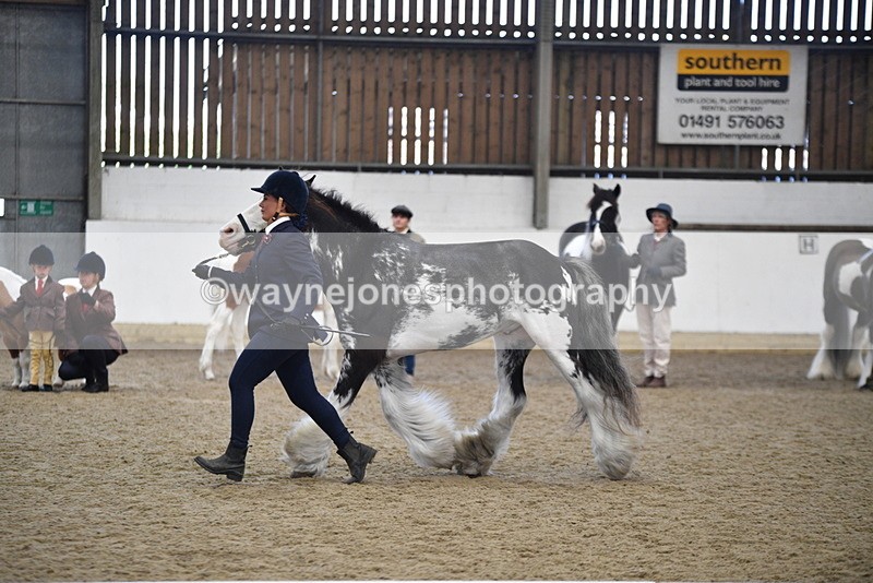 WJ5_4692 - Class 7 In hand coloured / odd coloured