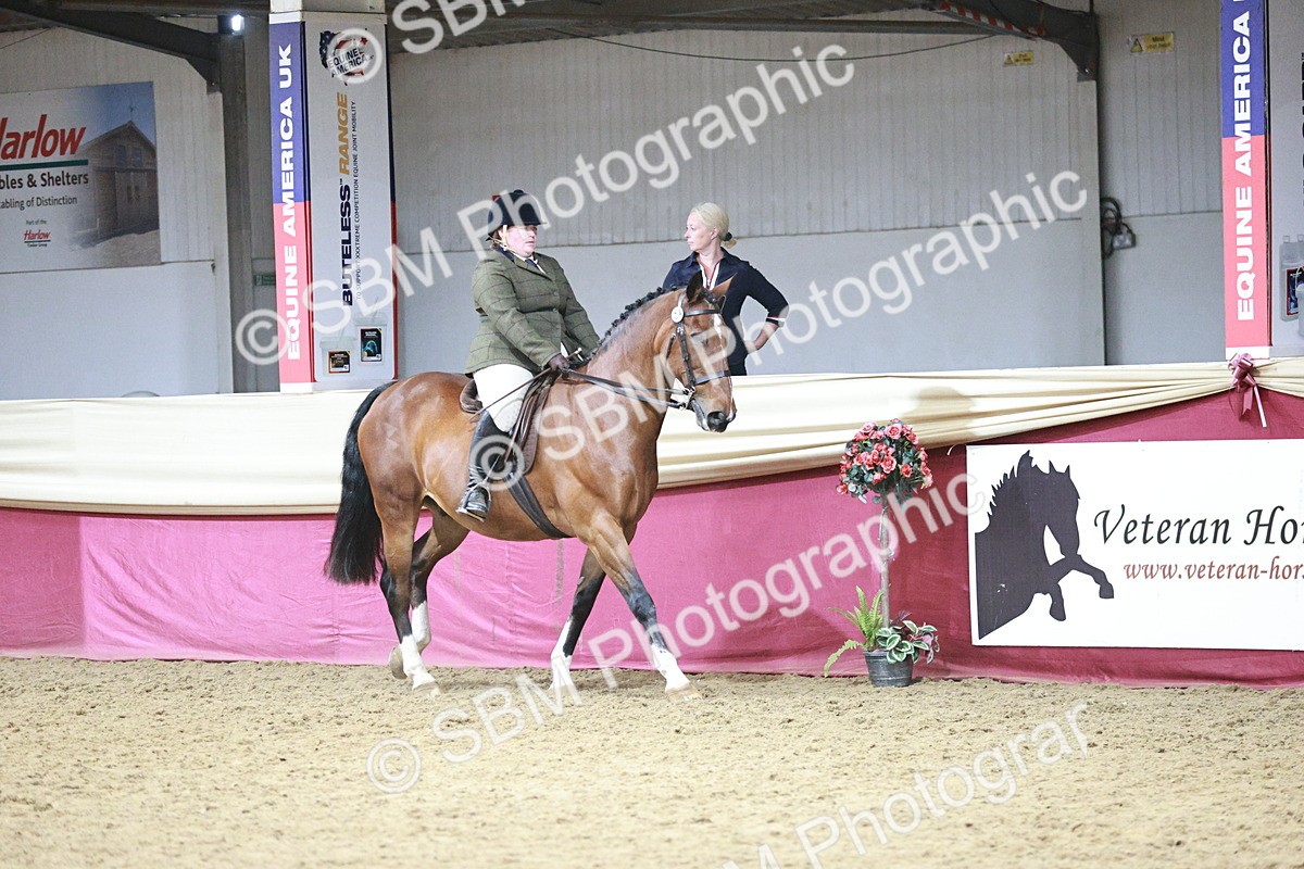 SBM_07975 - Class 11R - Regional Ridden Veteran