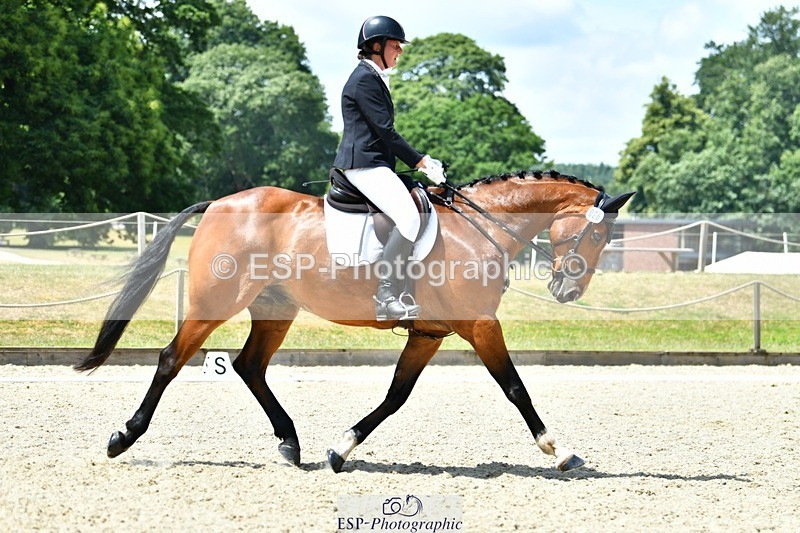 230623-132206-02368 - Cls 4 Novice 37Q 12.45 to End