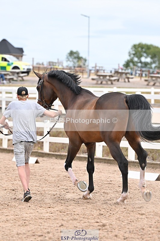 250716-152436-01912 - Trot Up 2.30 to 3.30