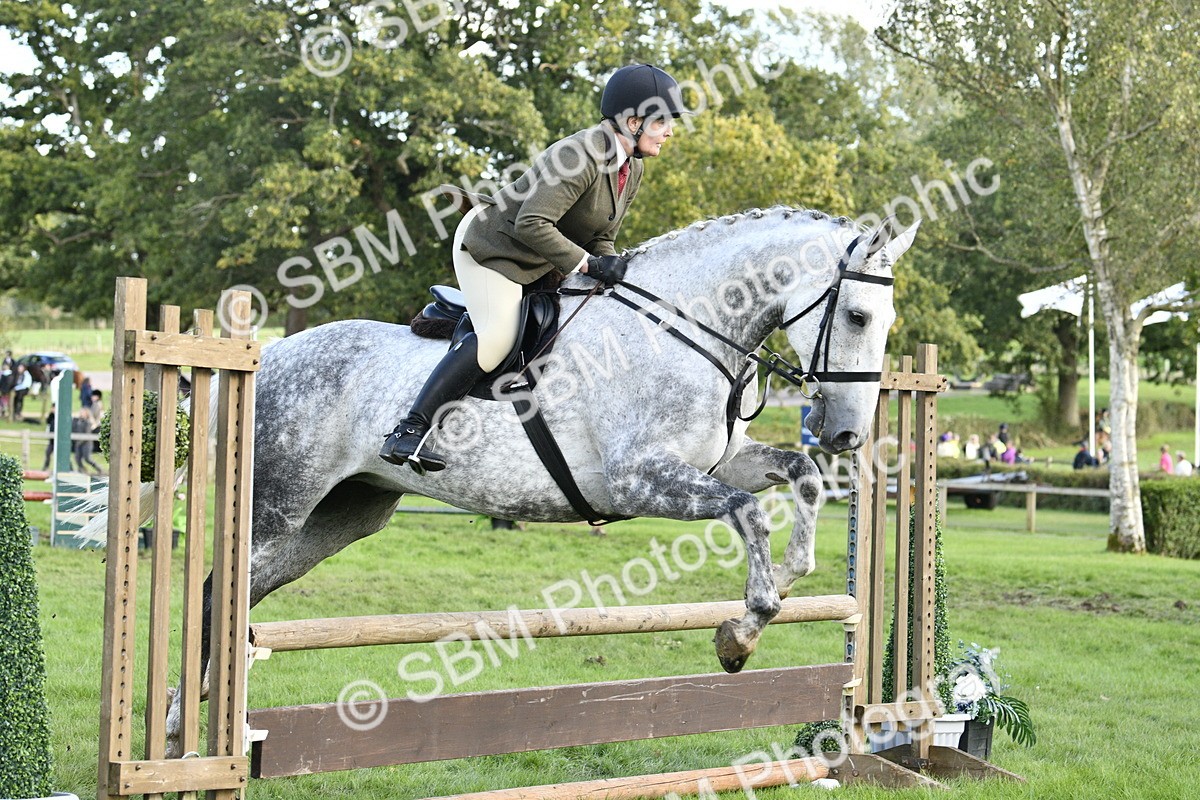 SBM_52169 - S35 - Working Hunter & Working Show Horse