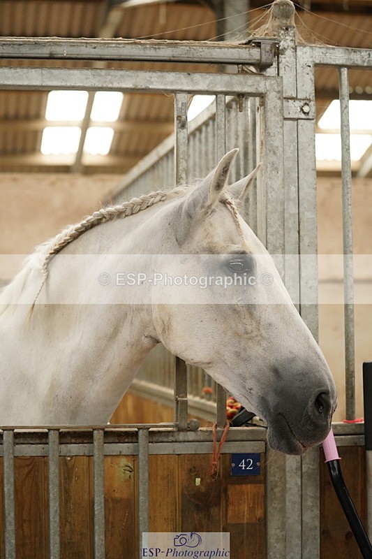 240809A-134518-01001 - Stable Shots