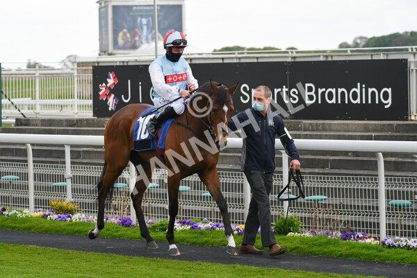 yr14052021r6-8 - Race 6 4.15pm Yorkshire Equine Practice Stakes